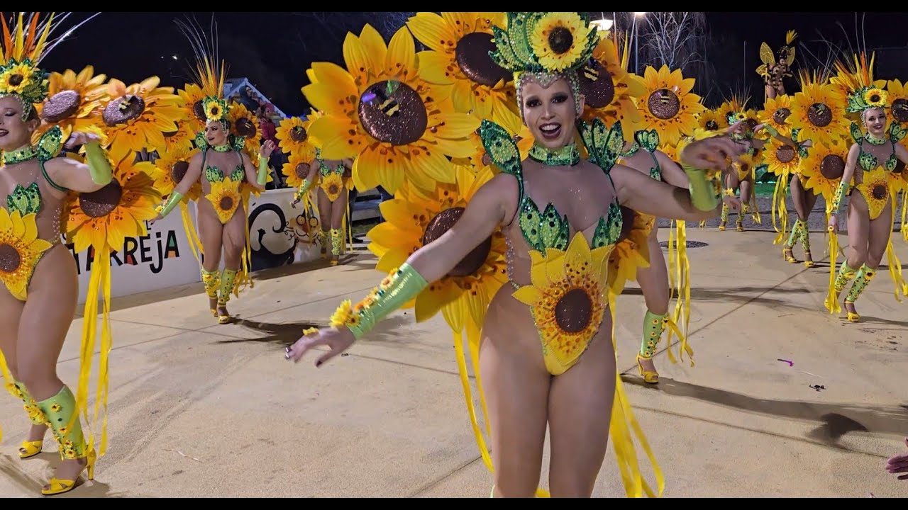 Vai Quem Quer @Desfile Escolas de Samba   Carnaval de Estarreja 2025