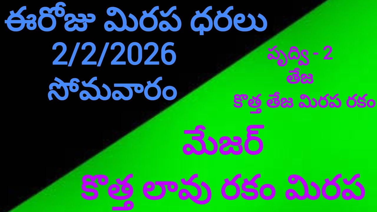 ఈరోజు మిరప ధరలు 2/2/2026 jungee forming జంగి ఫార్మింగ్ అడవి వ్యవసాయం is live