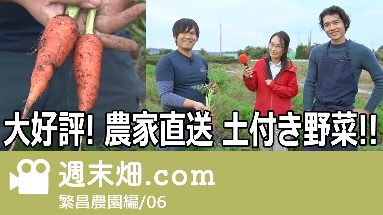 人参栽培 畝の雑草対策どうする？ 雑草の種を枯らせ！ #繁昌農園 編06 | 土付きで人参出荷