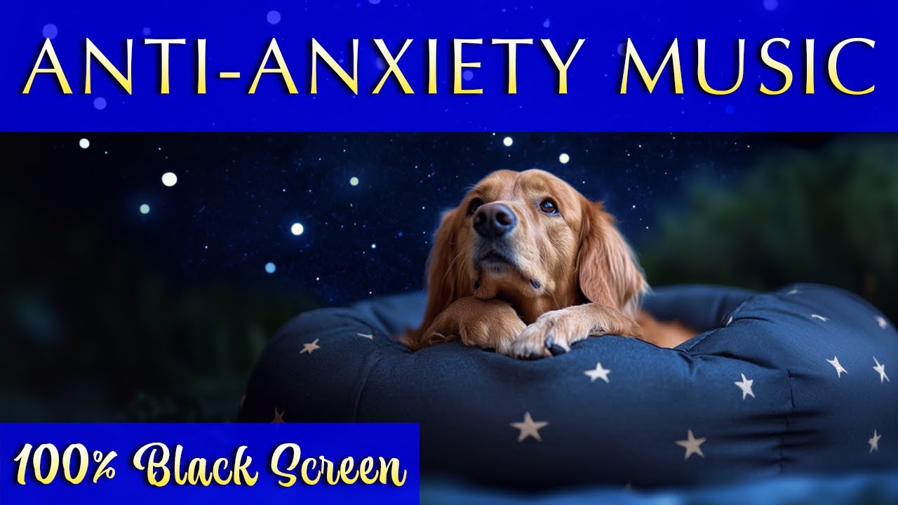 12 Hours of Anti-Anxiety Music for Dogs 🐶 Soothing Calming Black Screen