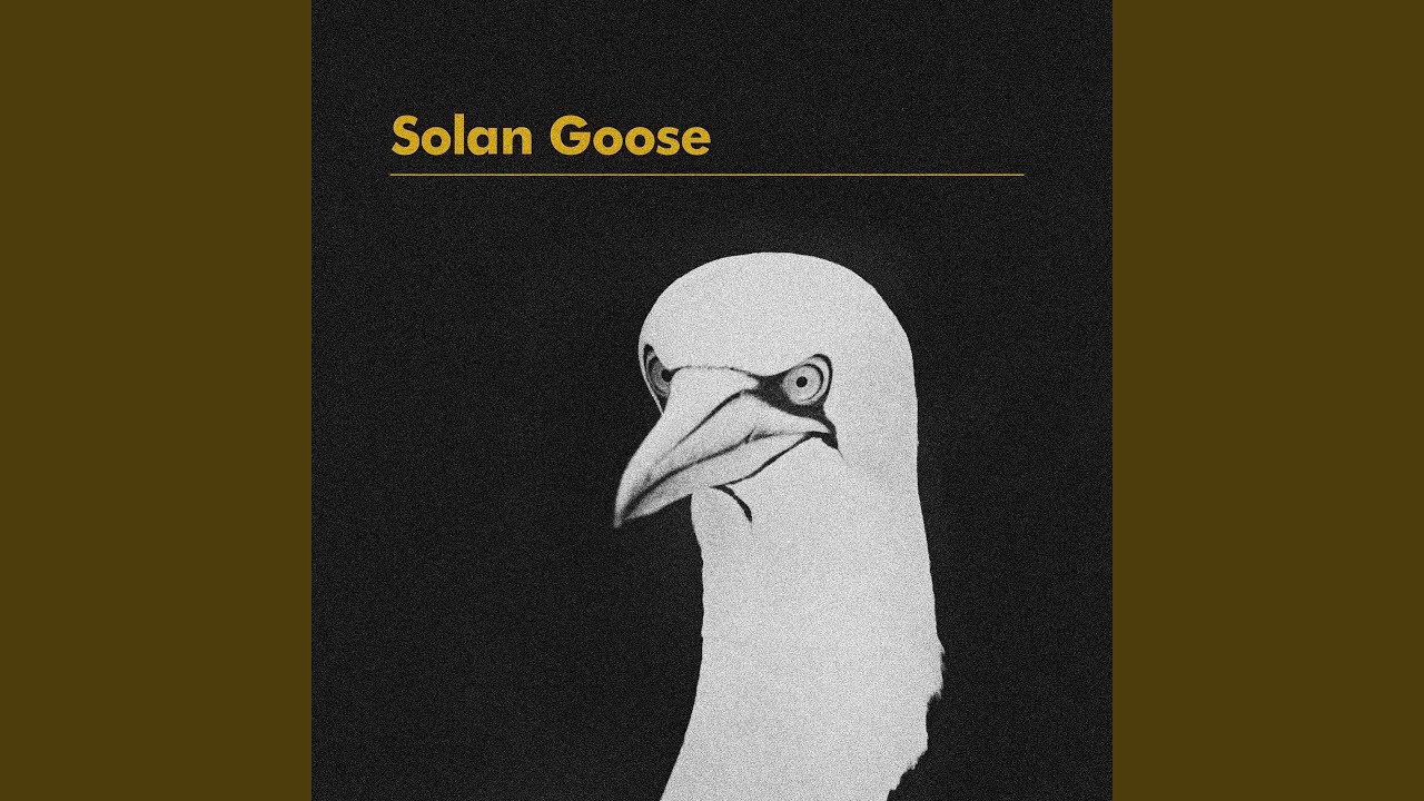 Solan Goose (Radio Edit)