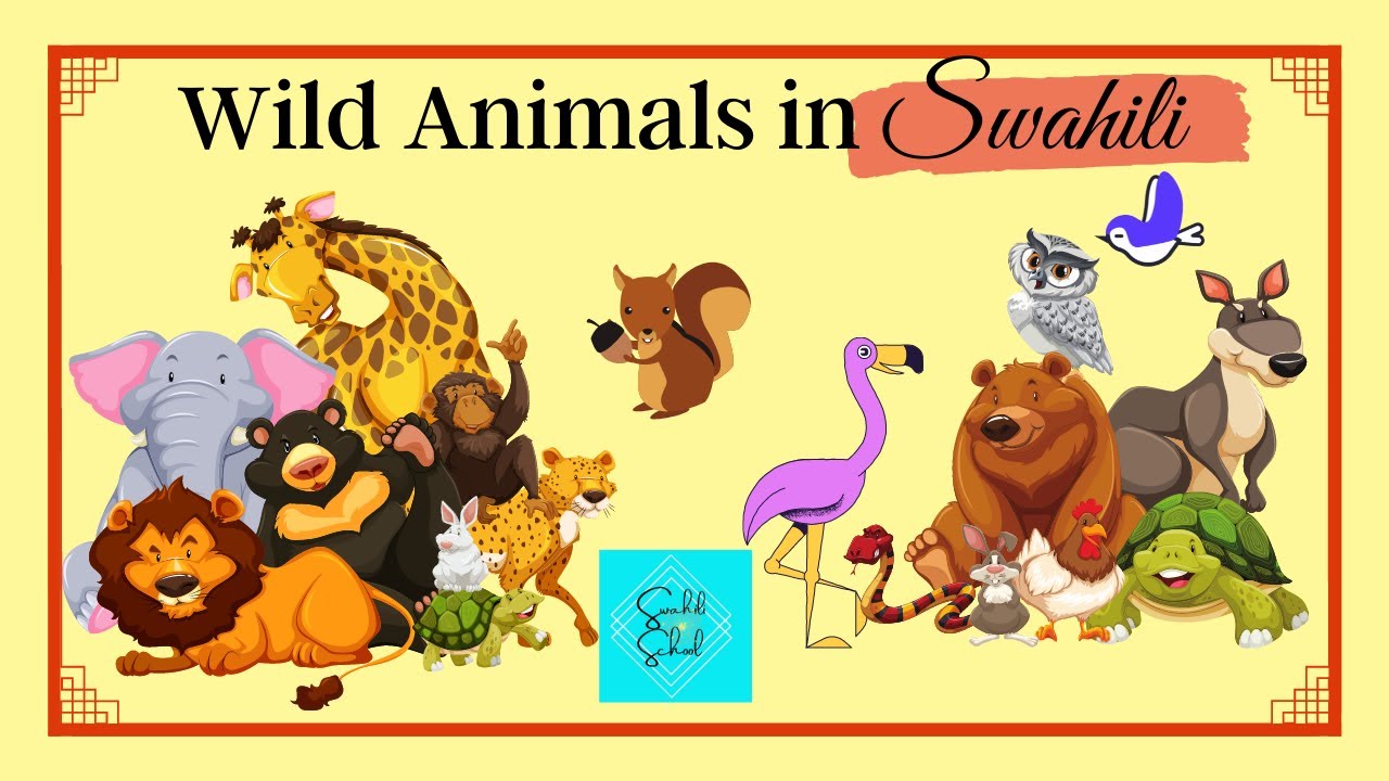 WILD ANIMALS IN SWAHILI: Beginners 4/4