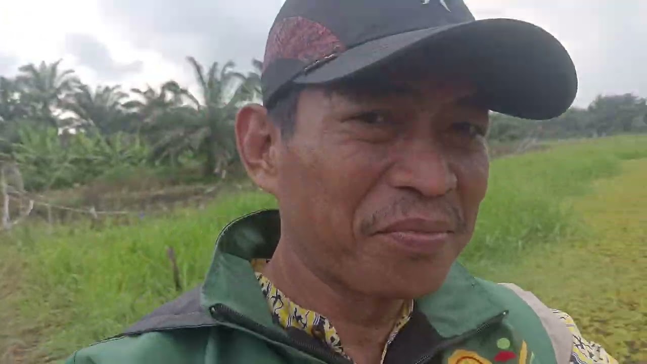 Pejuang Swasembada Pangan., ibu ibu super Hero,. KelompokTani Padi Danau Parit,. Di desa Parit Baru