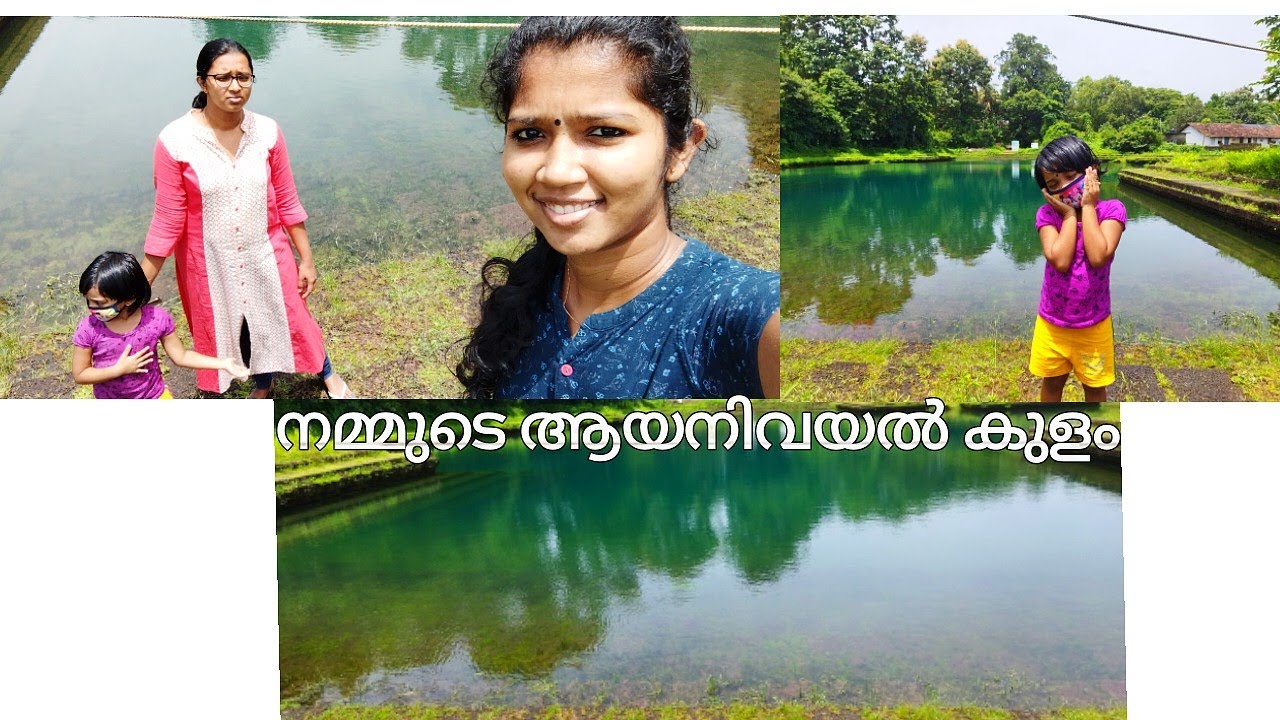 ആയനിവയൽ കുളം  കാണാം🏊 vlog || Ayanivayal kulam Azhikode || Art at home