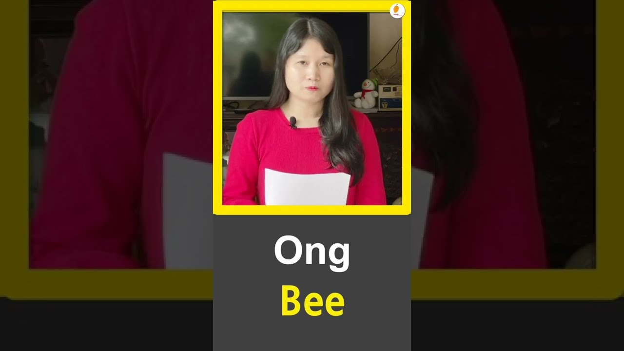 what is 'bee' in vietnamese? learning vietnamese 