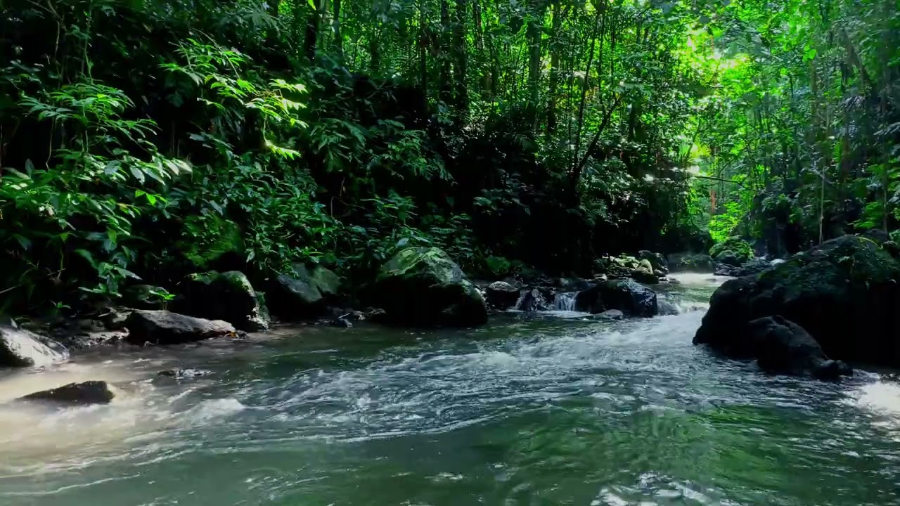 Night River Sounds for Deep Sleep | Relaxing Nature Ambience & White Noise