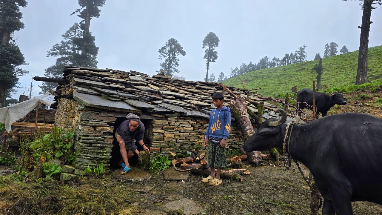 Best Life in the Nepali Mountain Village During the Rainy Season | Heavy Rainy Day In Jiree Village