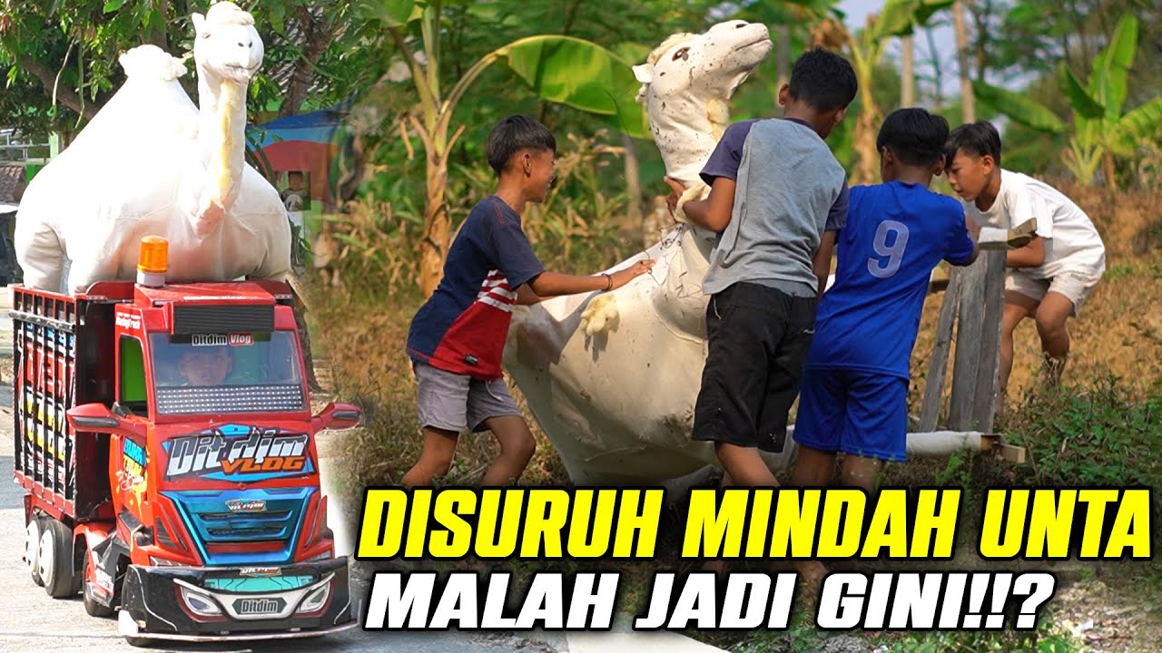 DIMAS DISURUH PINDAH UNTA MALAH JADI GINI...