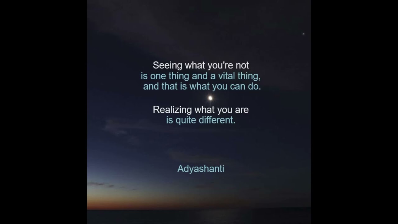 Adyashanti: advice to a questioner with 27-year inquiry experience...let your seeing stop you (Q&A)