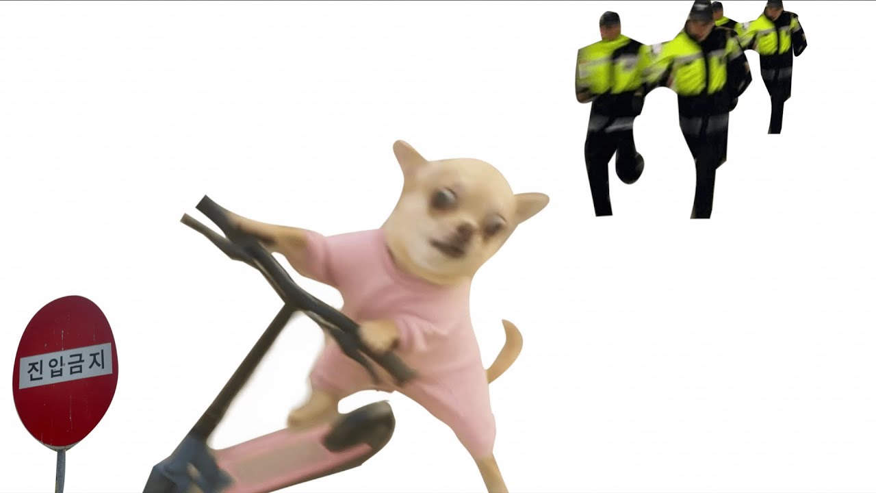 𝐏𝐥𝐚𝐲𝐥𝐢𝐬𝐭 인생은 실전이다 🥕🚓