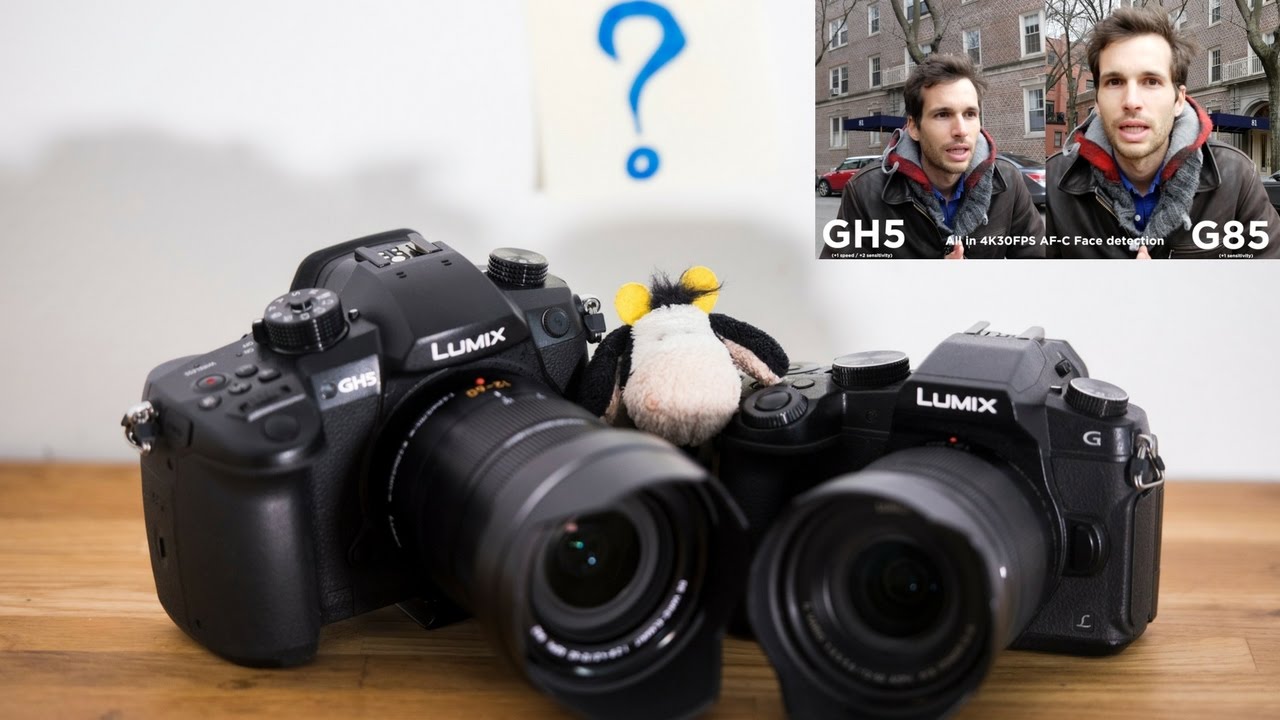 900$ VS 2,000$ | Panasonic G85 VS GH5