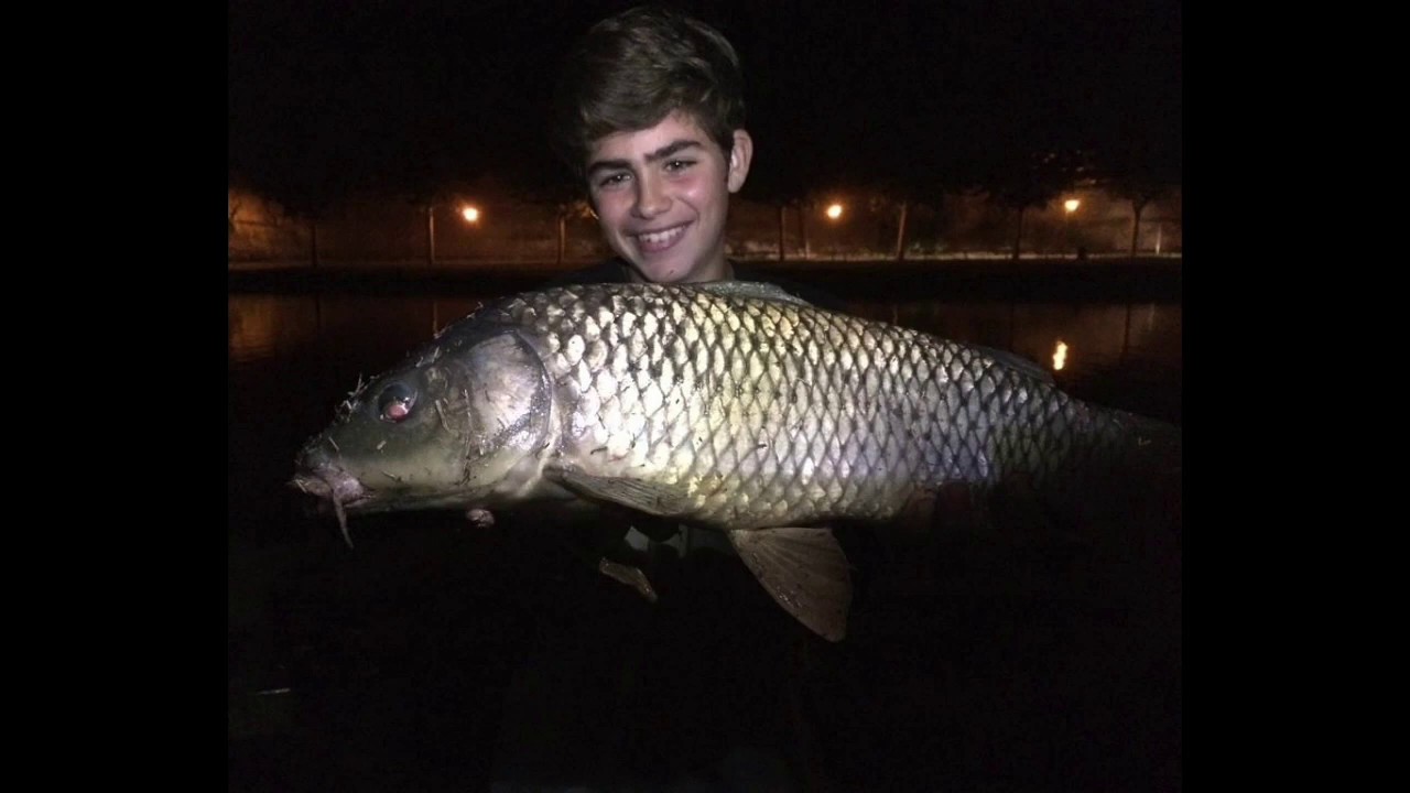 boilies de naranja caseros