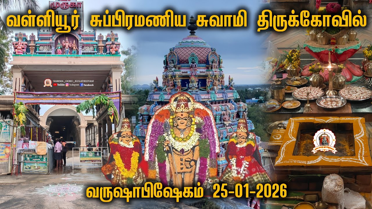 #வள்ளியூர் அருள்மிகு ஸ்ரீ சுப்பிரமணிய சுவாமி திருக்கோவிலில் வருஷாபிஷேகம் | தை மாதம் 11 | 25-01-2026