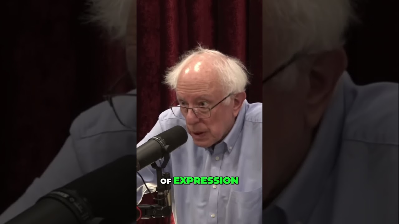 Billionaires Can Buy Elections? Citizens United Explained!