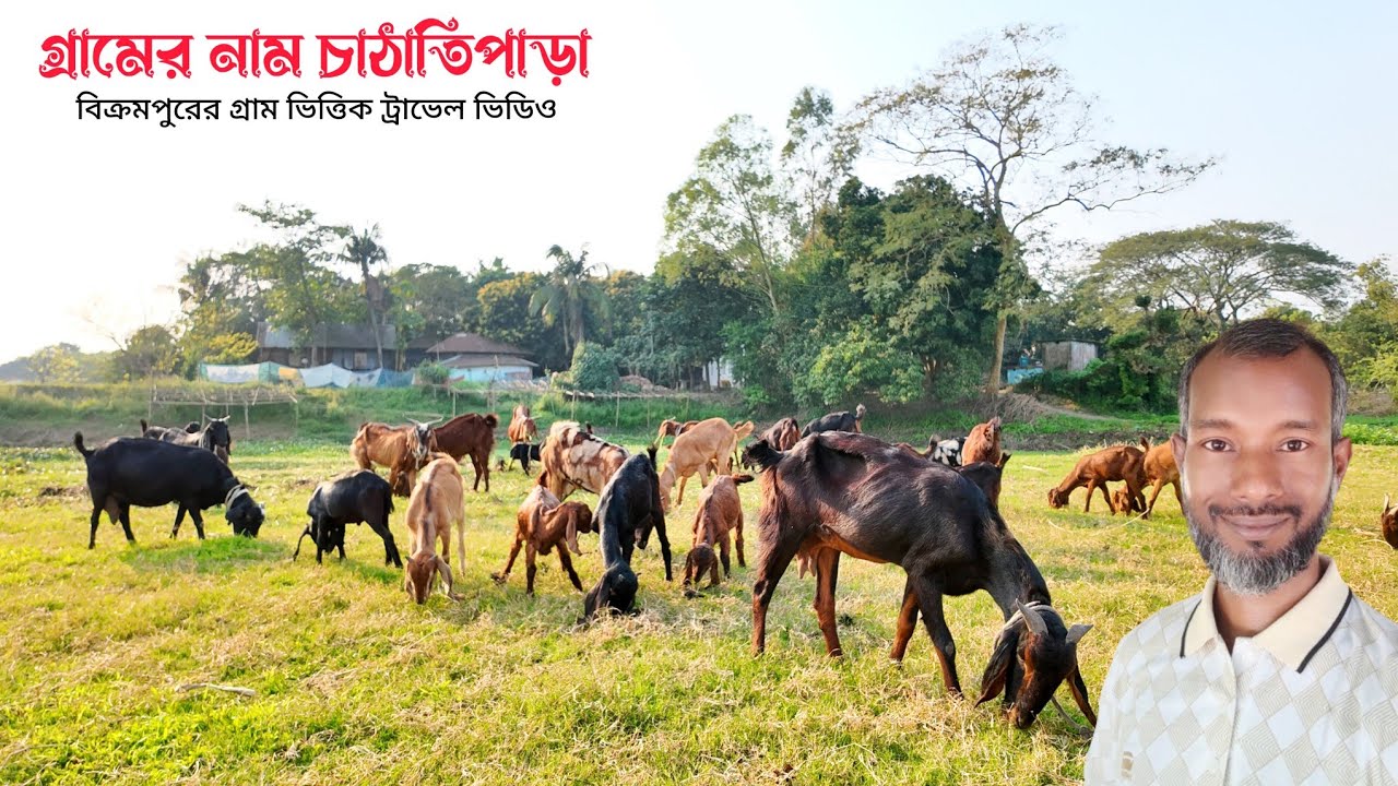গ্রামের নাম চাঠাতিপাড়া। টংগিবাড়ী। মুন্সিগঞ্জ। বিক্রমপুরের খুব সুন্দর একটি গ্রাম। EP53