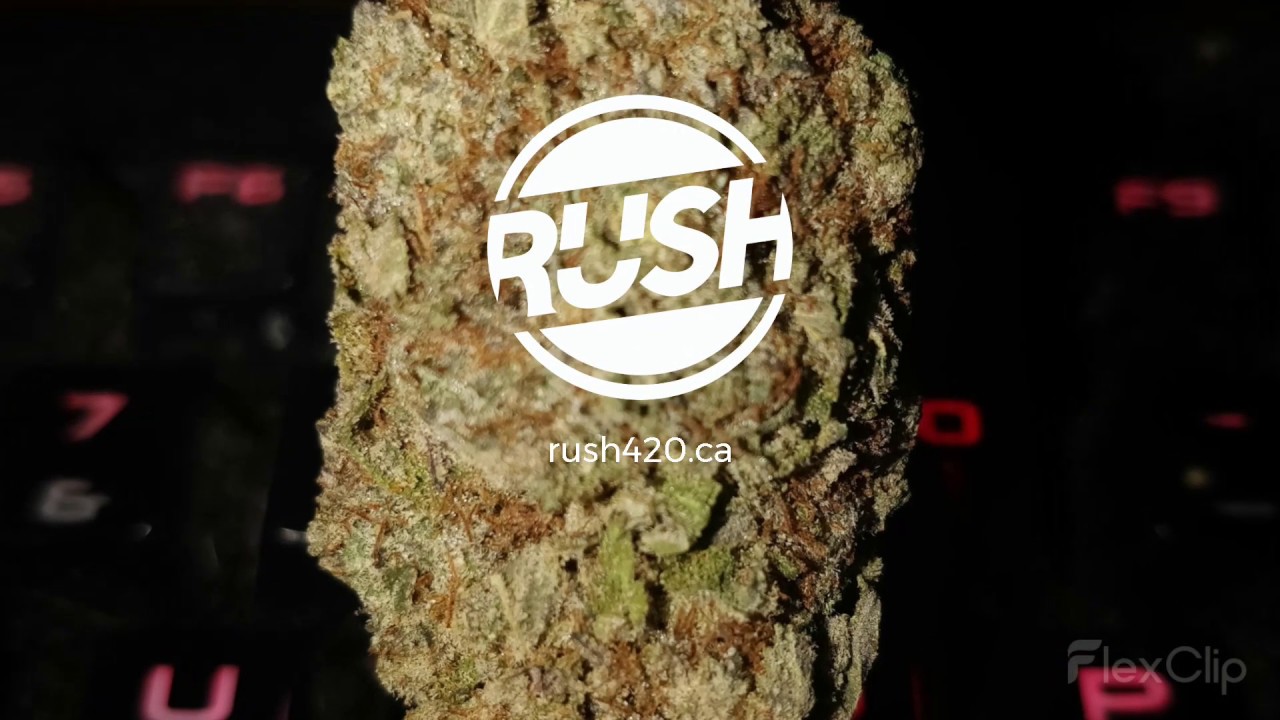 PRE 98 Bubba Kush Strain Review
