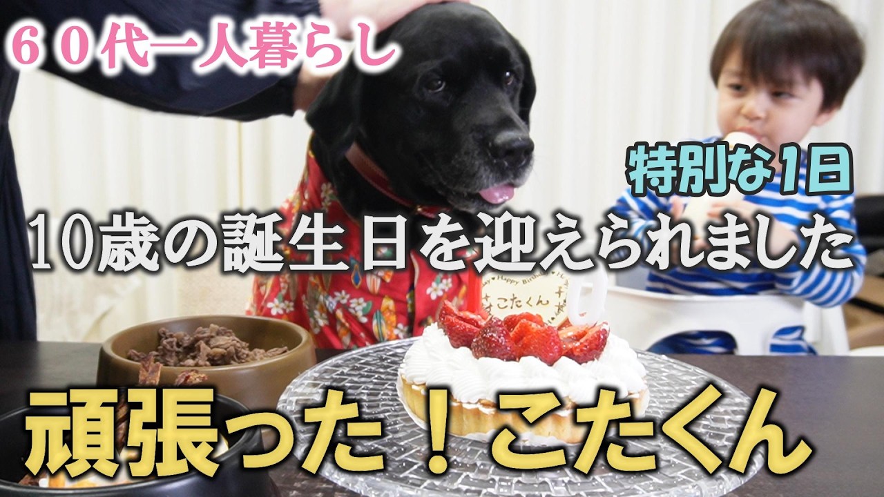 愛犬黒ラブこたくんの10歳のお誕生日会 | プレゼント | 北欧食器で食べる朝ごはん| 旅行用60代と30代の水着紹介 | シニアライフ |60代ひとり暮らし！