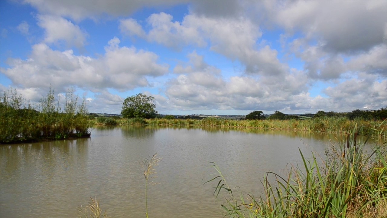FURZEBRAY LAKES, SOUTH MOLTON, DEVON