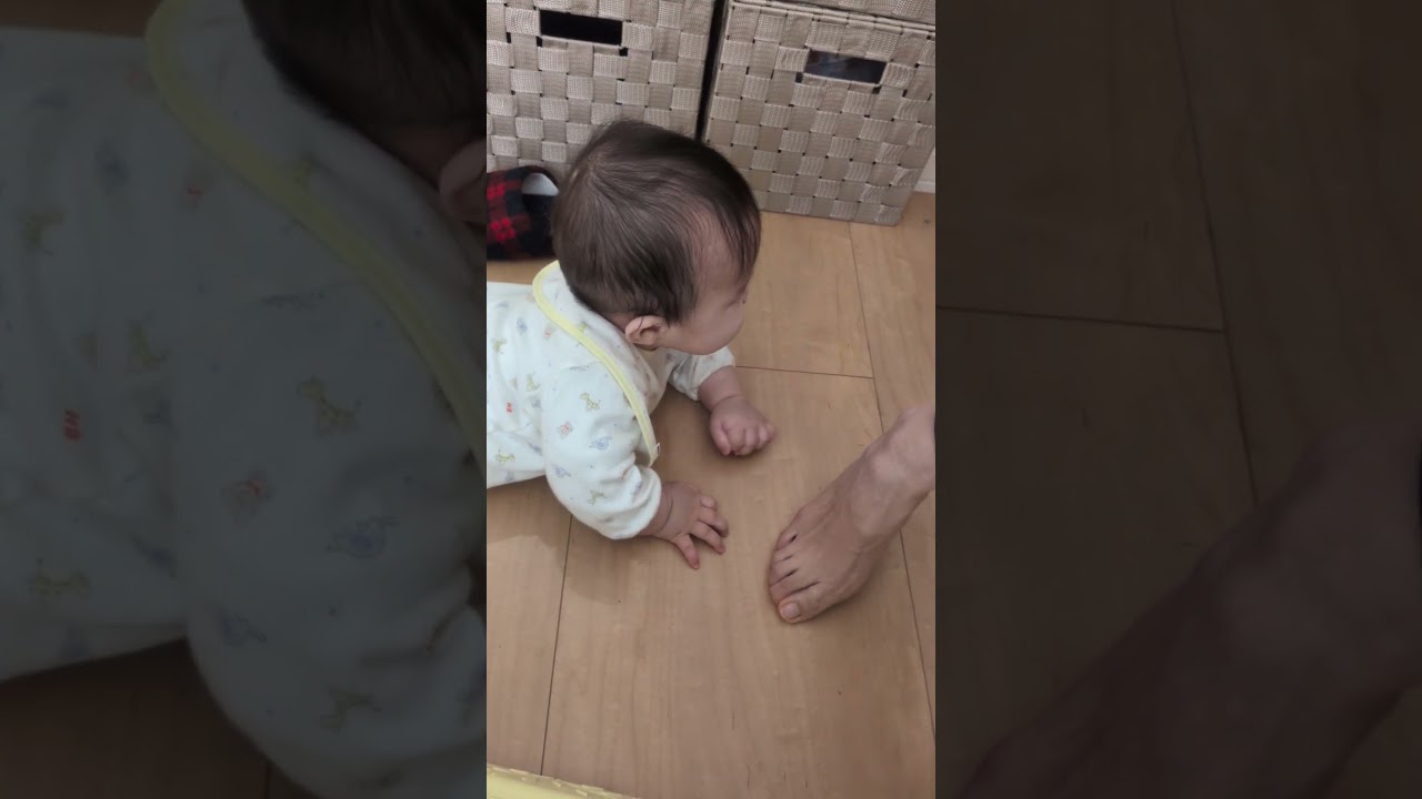 ひなころ👶ママのところに猛ダッシュする🏃💨
