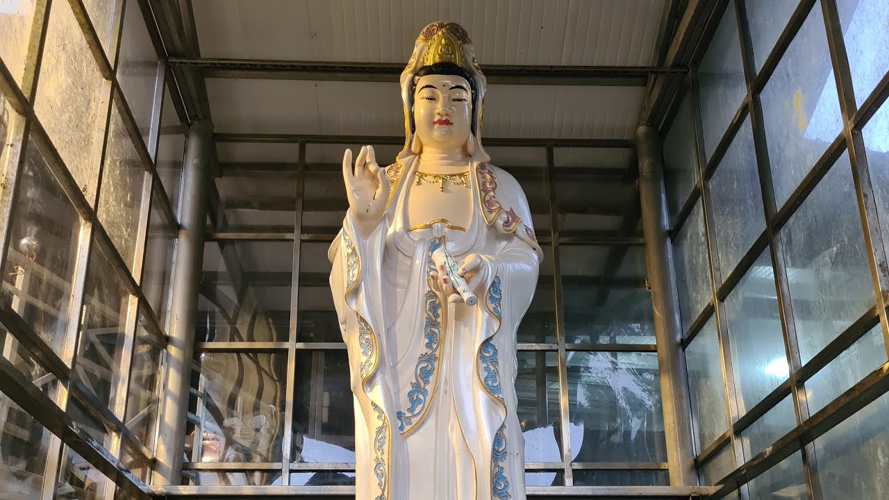 「釋禪定」正在卷五直播！