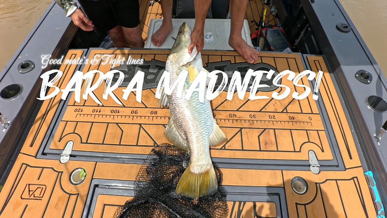 BARRA MADNESS!