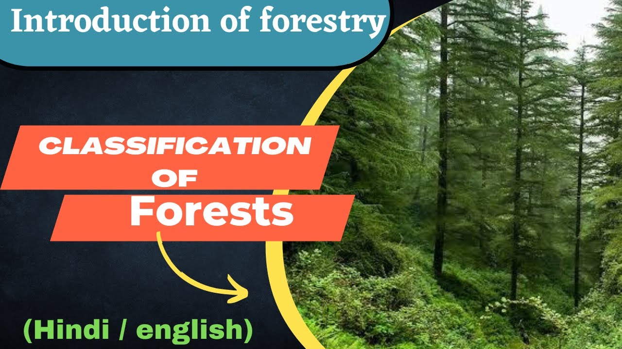 Classification of forests || Types of forest ||