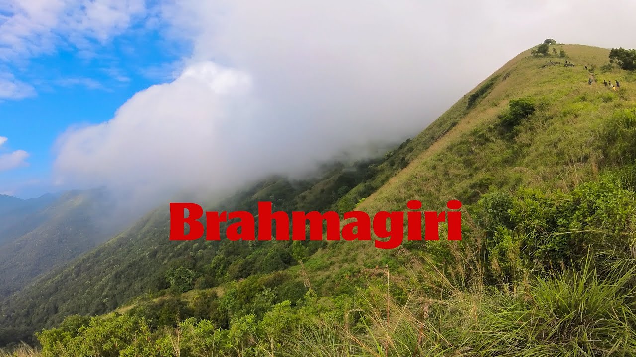 Brahmagiri Trek - Kerala Side (from Thirunelli)