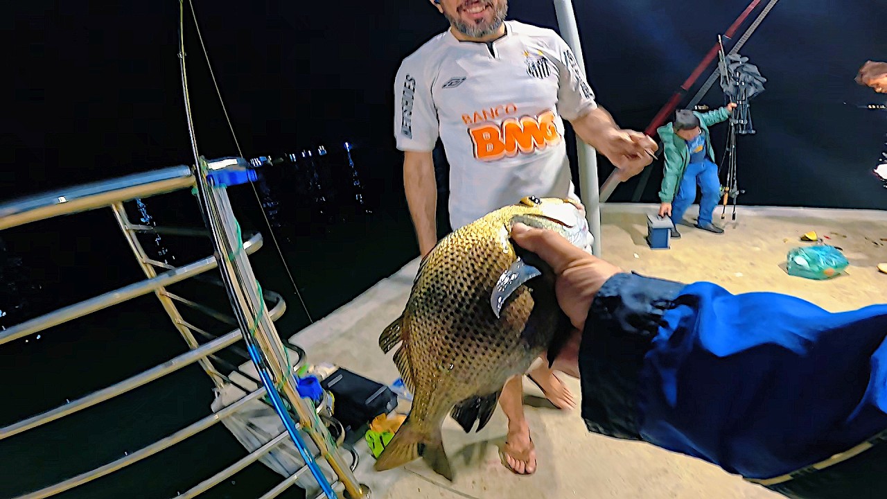 MAIS PESCARIAS na PONTA DA PRAIA, em SANTOS-SP!