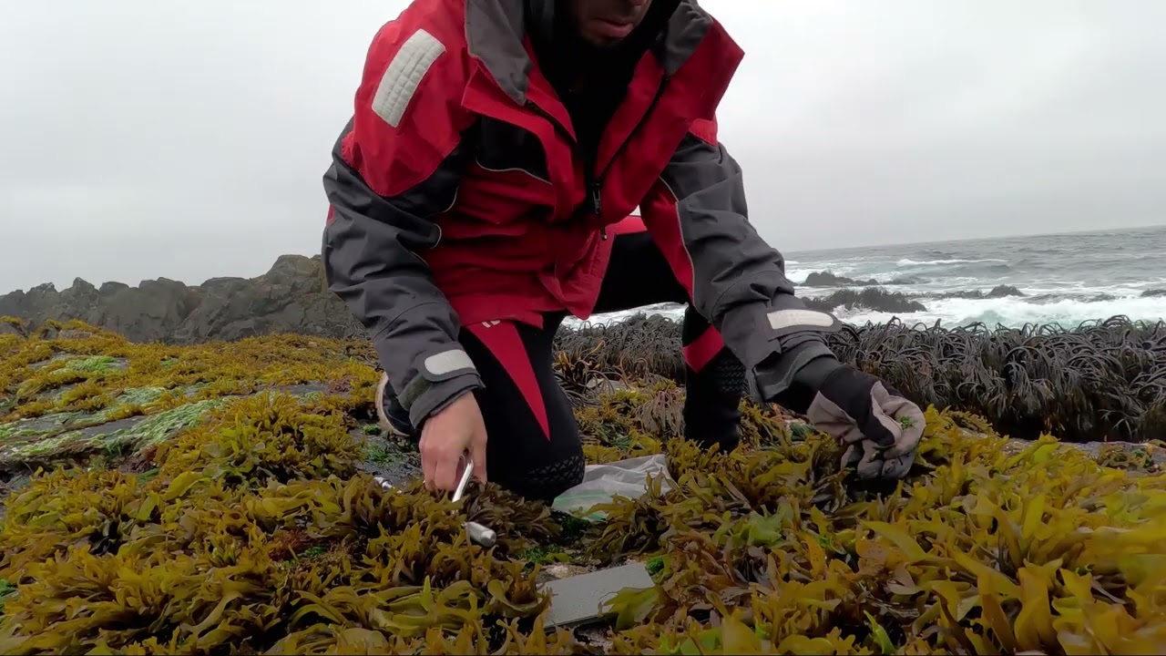 Fieldwork of Chango Lab