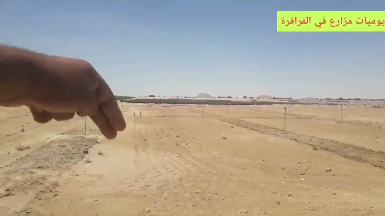 الوادي الجديد الفرافرة غسيل وري  الارض بالرشاشات