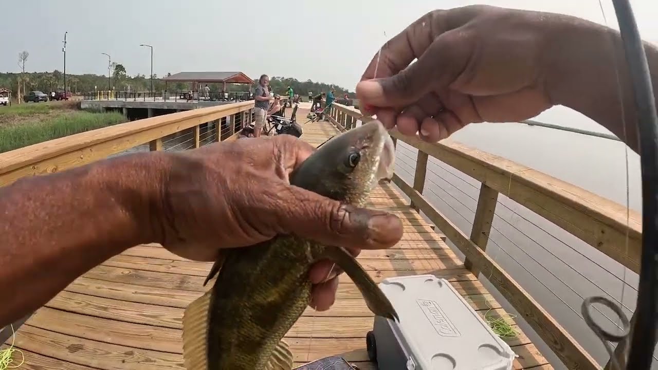 Out Of Air Vacuum Bag Review & Fishing At Co Op Park In Richmond Hill GA
