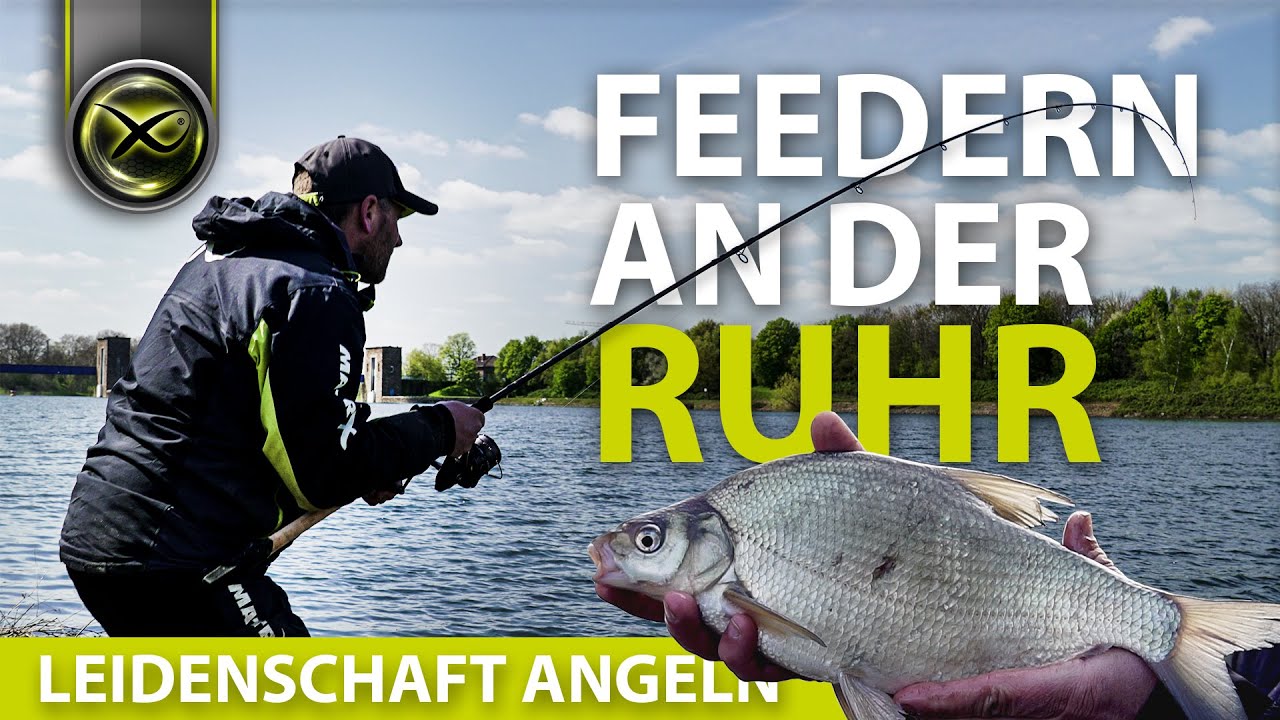 FEEDERN auf DISTANZ - an der RUHR mit THORSTEN KÜSTERS - Leidenschaft Angeln