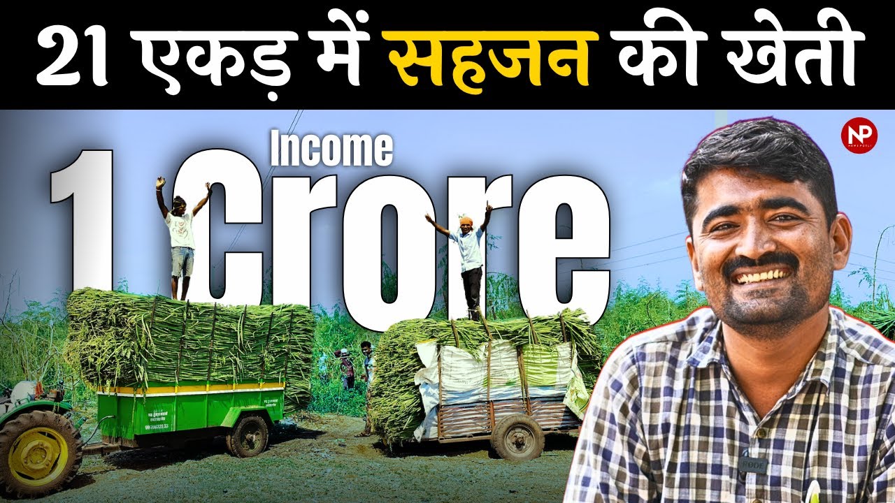Moringa farming : How this Maharashtra Farmer Made Crores from drumsticks || सहजन की खेती