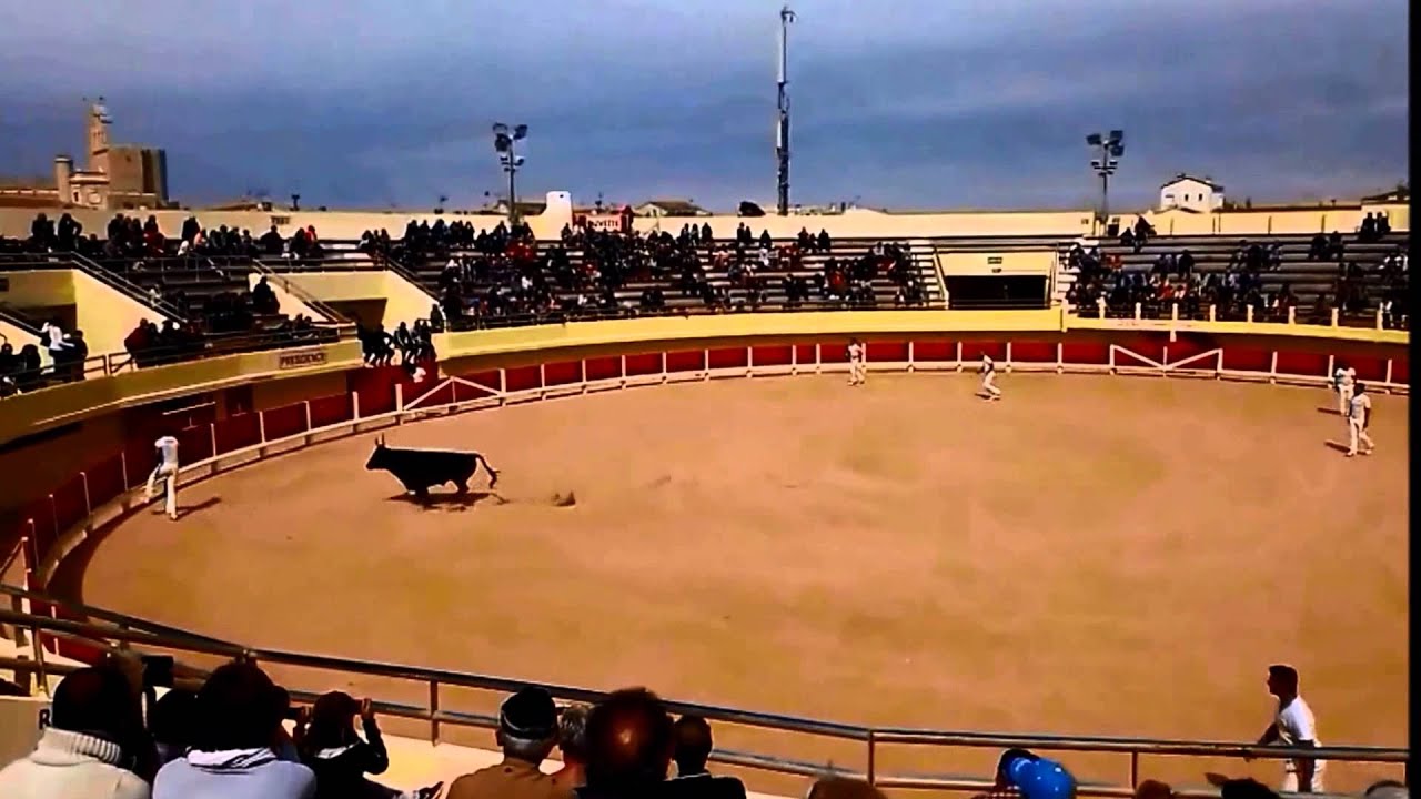 Коррида в Провансе