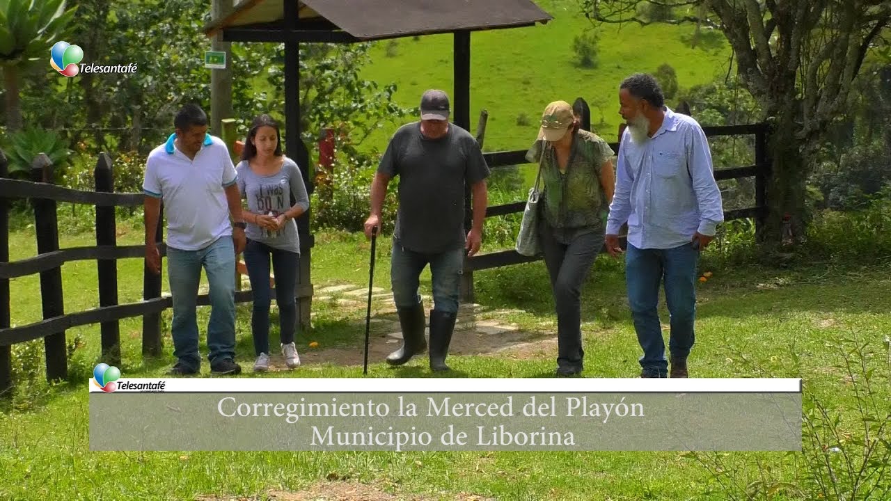 El Frijol Liborino Corregimiento la Merced del Playón Municipio de Liborina