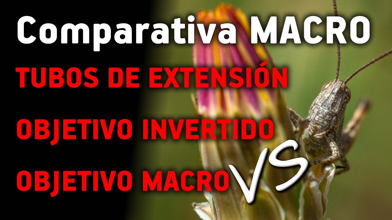 Comparativa MACRO: Tubos de Extensión - Objetivo Invertido - Objetivo Macro