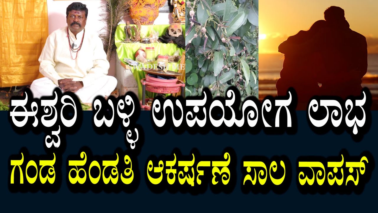ಈಶ್ವರಿ ಬಳ್ಳಿಯ ಲಾಭಗಳು | ಗಂಡ ಹೆಂಡತಿ ಆಕರ್ಷಣೆ | ಕೊಟ್ಟ ಸಾಲ ವಾಪಸ್ ಪಡೆಯಲು ತಂತ್ರ
