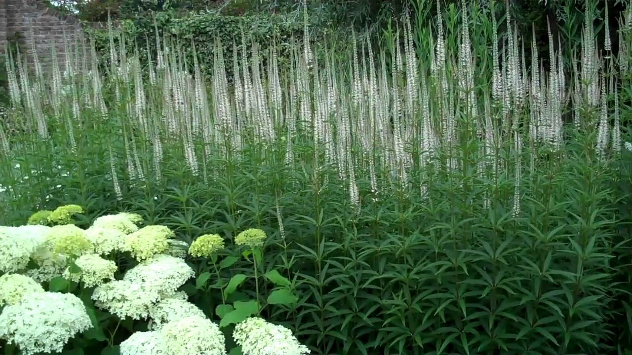 A visit to Sissinghurst July 2011