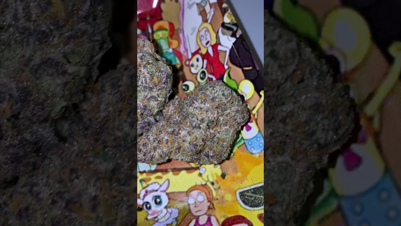 Exotic weed strain