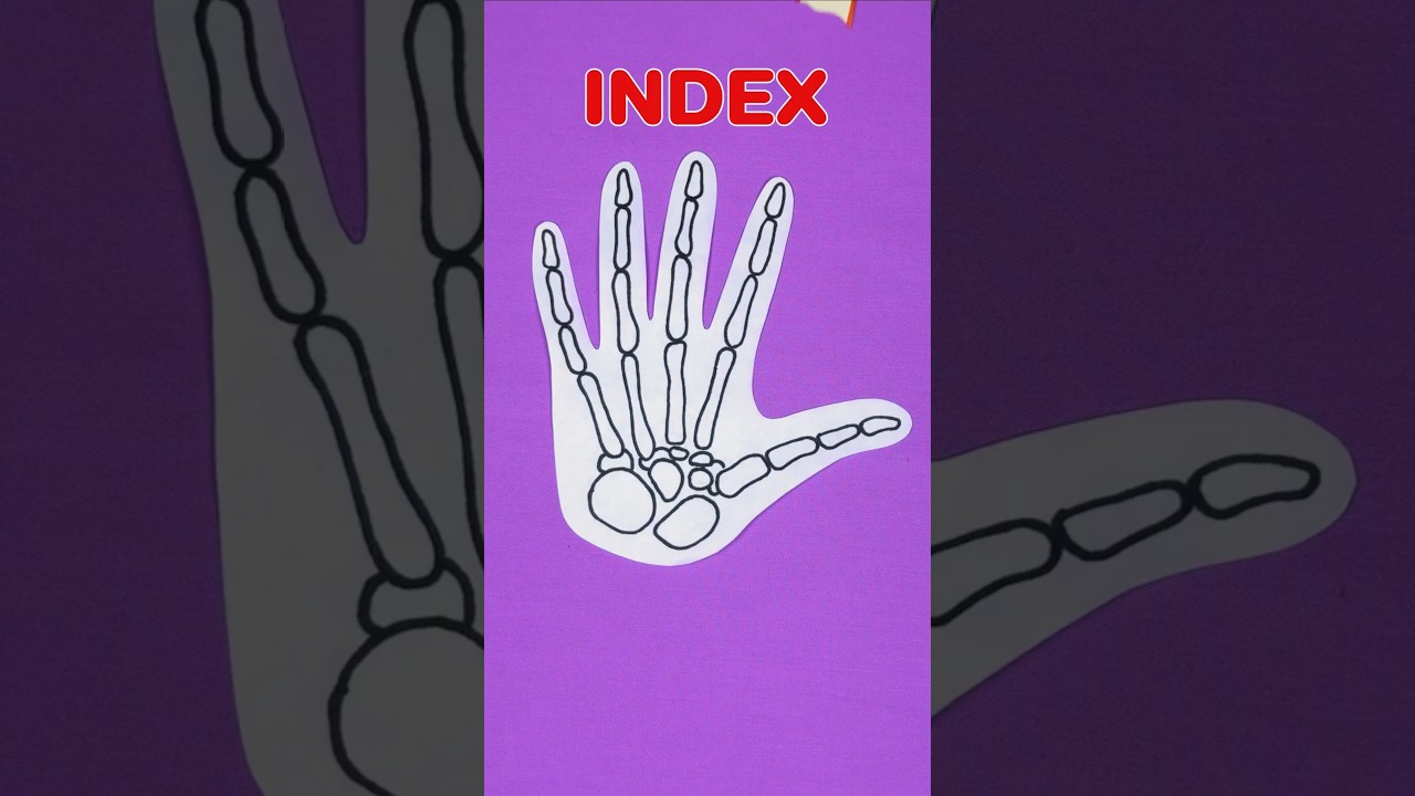 Learn with Finger Family 🖐✨ Name Fingers in English! Educational Shorts for Kids