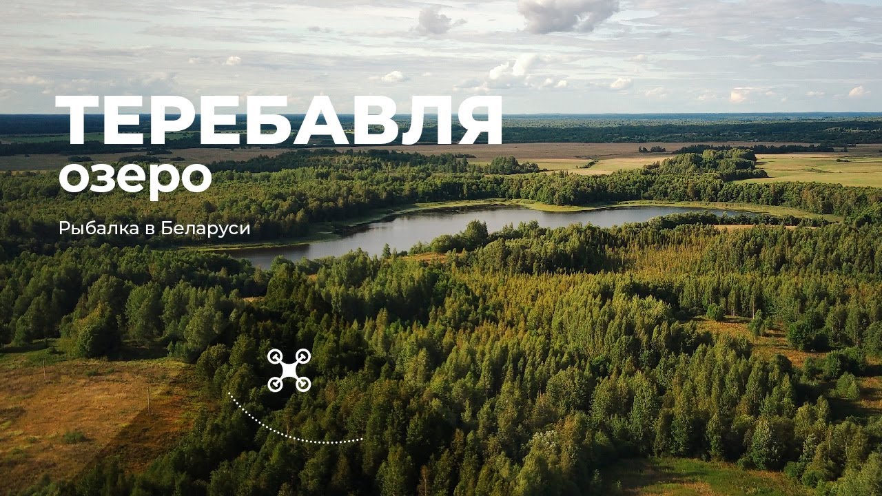 Озеро Теребавля (Городокский район)