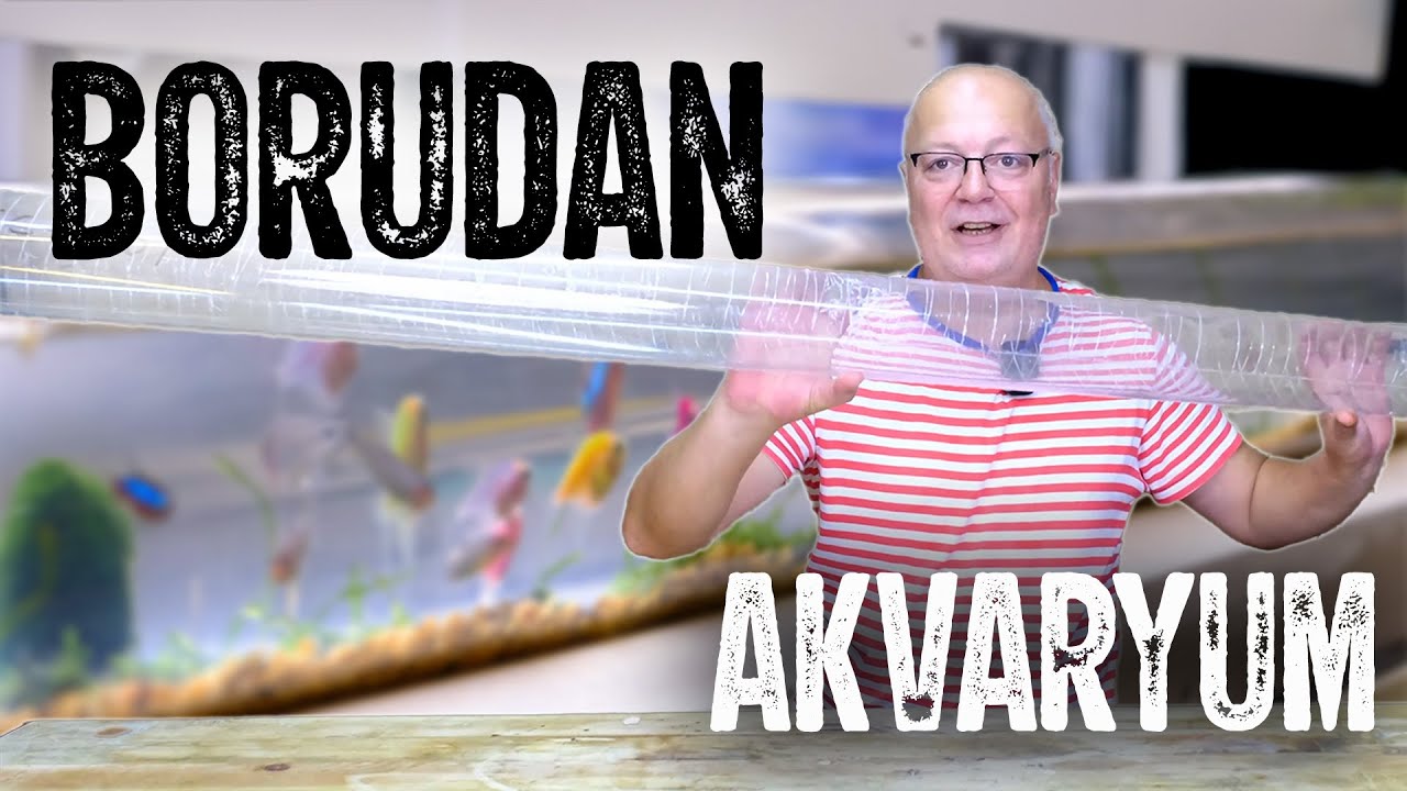 200 CM BORUDAN AKVARYUM YAPTIM - AKVARYUM SERİSİ - 1