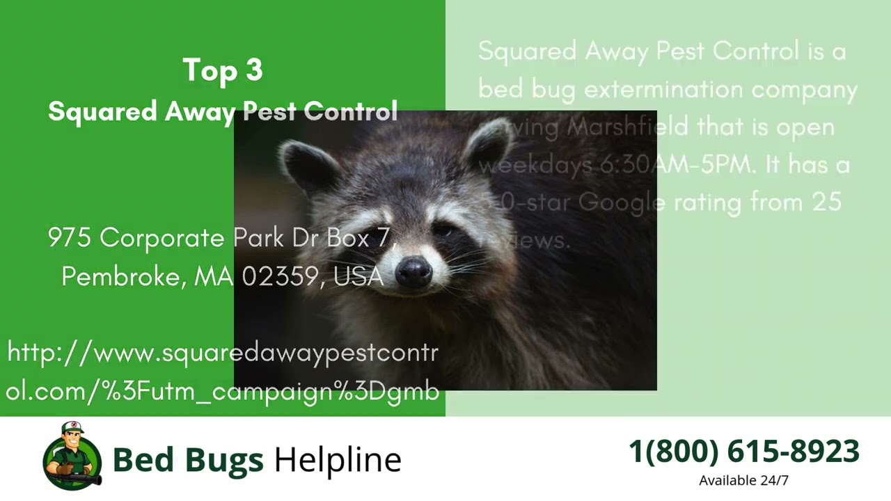 Top 3 Bed Bug Removal in Marshfield