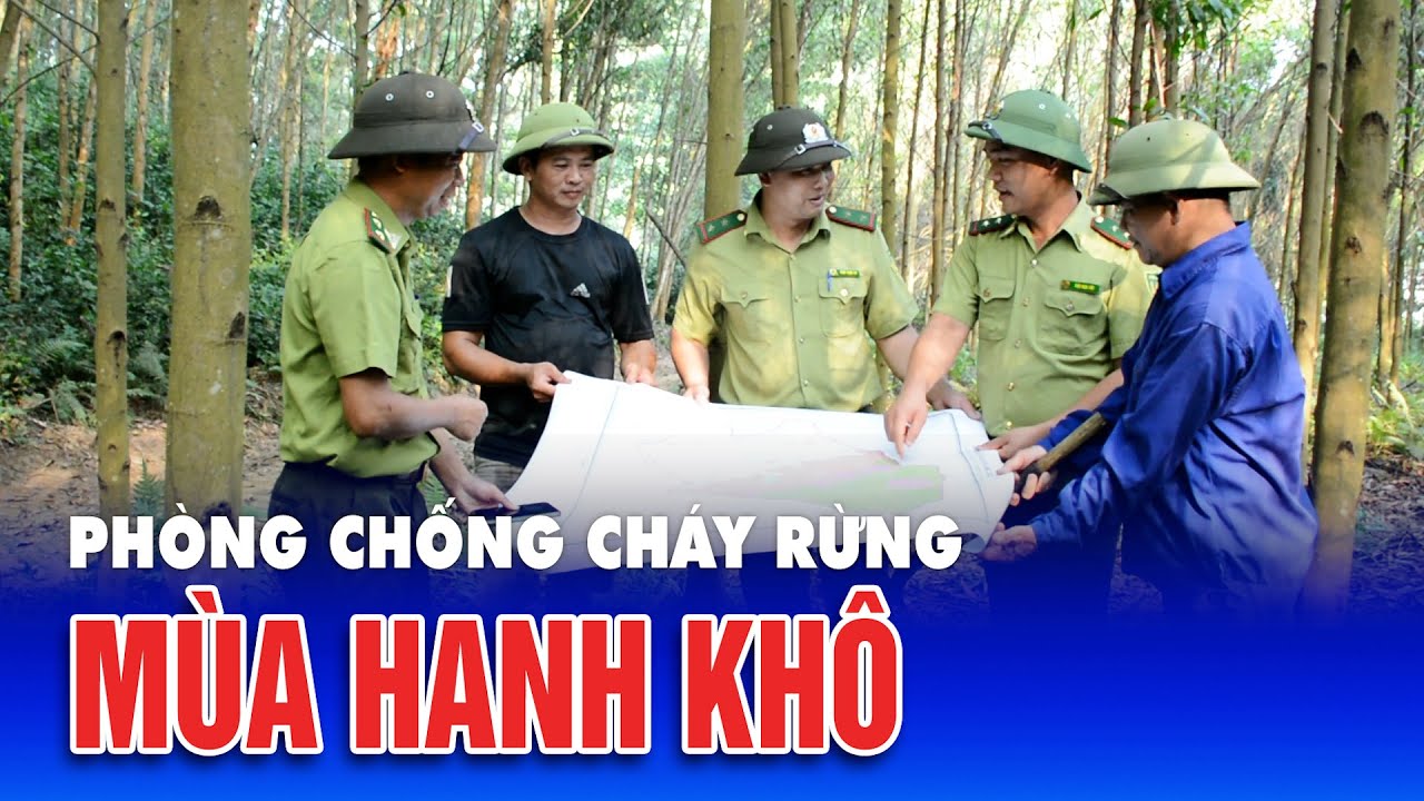 Phòng chống cháy rừng mùa hanh khô