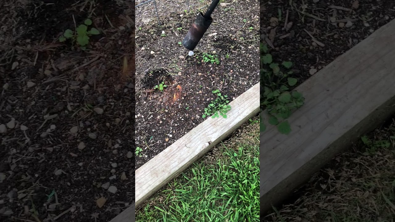 Burning weeds with garden torch