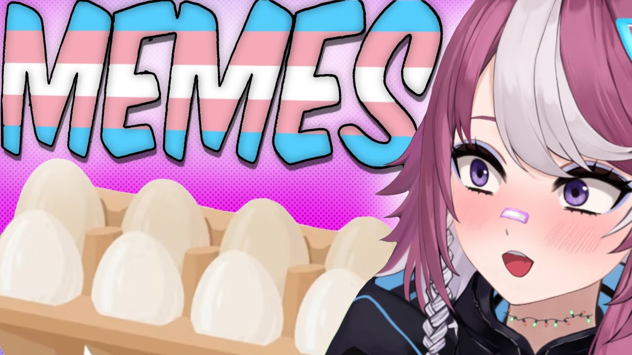🏳️‍⚧️Spiciest TRANSGENDER MEMES🏳️‍⚧️