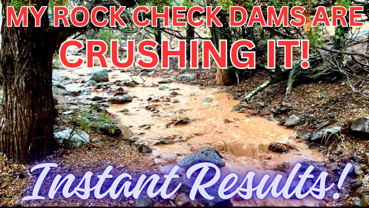 STREAMS RETURN TO MY NORTHERN AZ OFF-GRID HOMESTEAD!