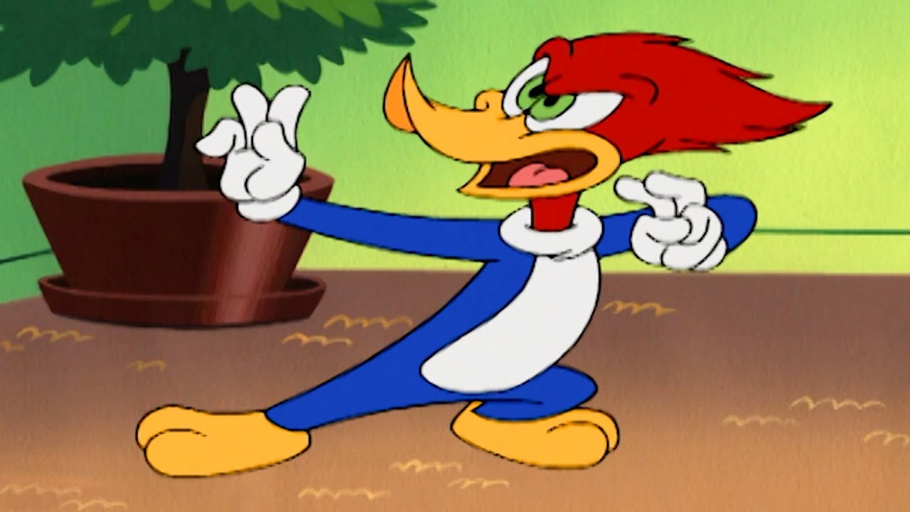 Woody es un maestro de karate | El Pájaro Loco
