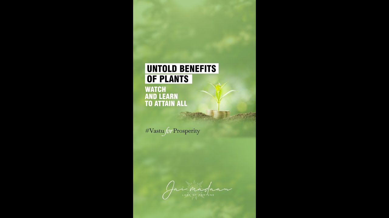 Watch and learn how to unlock untold benefits of money plants.
