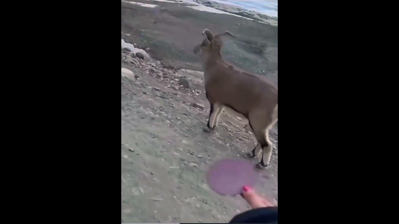 Share this to Your Cringy Friend